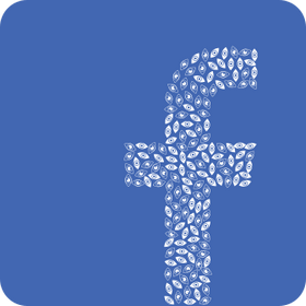 Facebookov demence - Vtipy o Facebooku, fry, frky, vtipy, vtpky